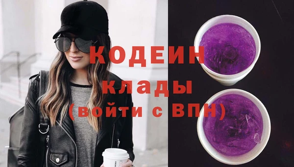 шишки Богородск