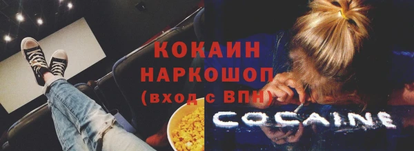 шишки Богородск