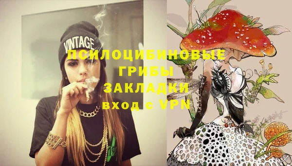 соль ск Богданович