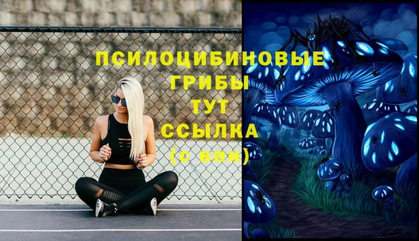 спайс Беломорск