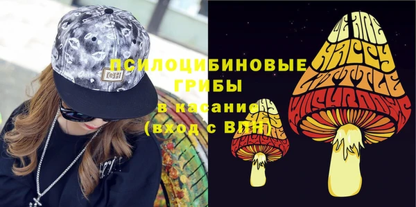 ешки Богородицк