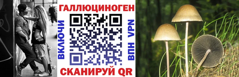 Псилоцибиновые грибы мицелий  Ельня 